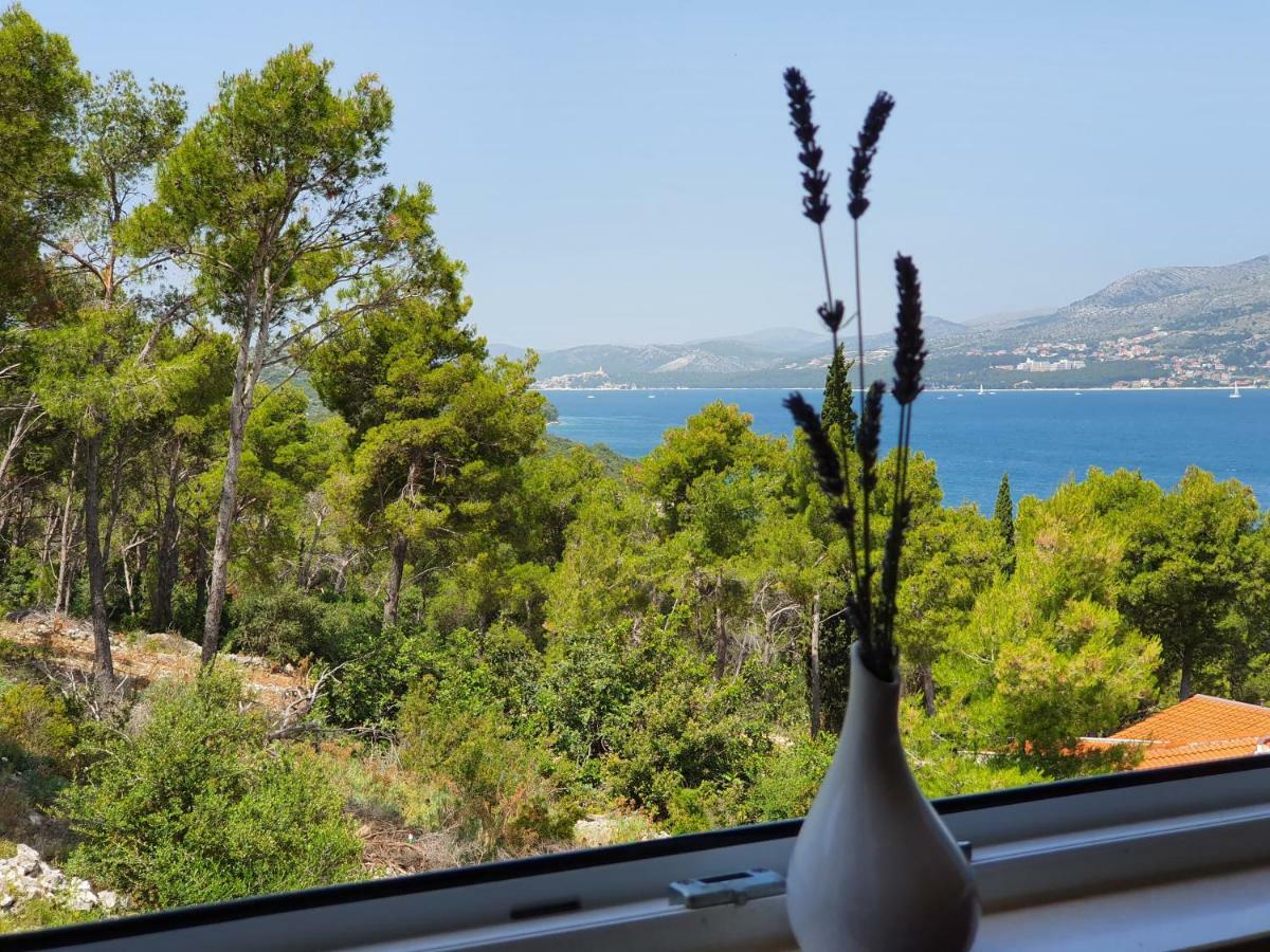 Tihana Trogir